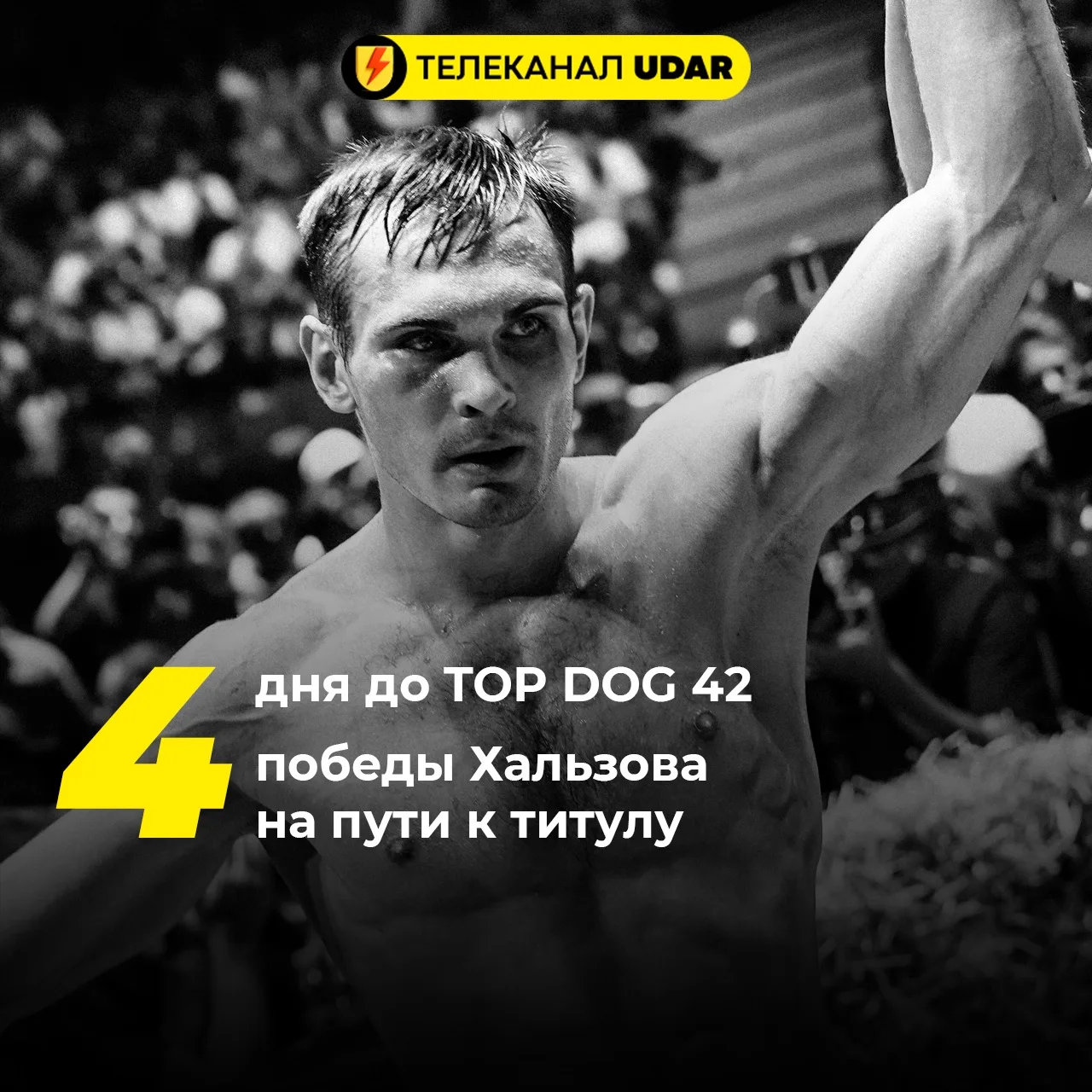 📅4 дня до TOP DOG 42 – 4 уверенные победы Хальзова на пути к поединку за титул