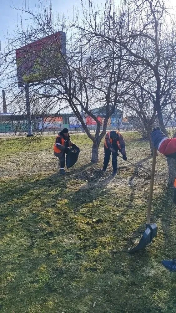 🍂🧹В Бийске полным ходом идут весенние субботники ⁣ В городе активно приводят в порядок общественные 