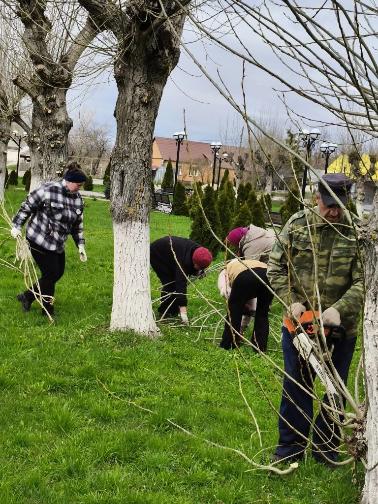 25.04.2026 Мичуринский муниципальный округ принял активное участие во Всероссийском суб...
