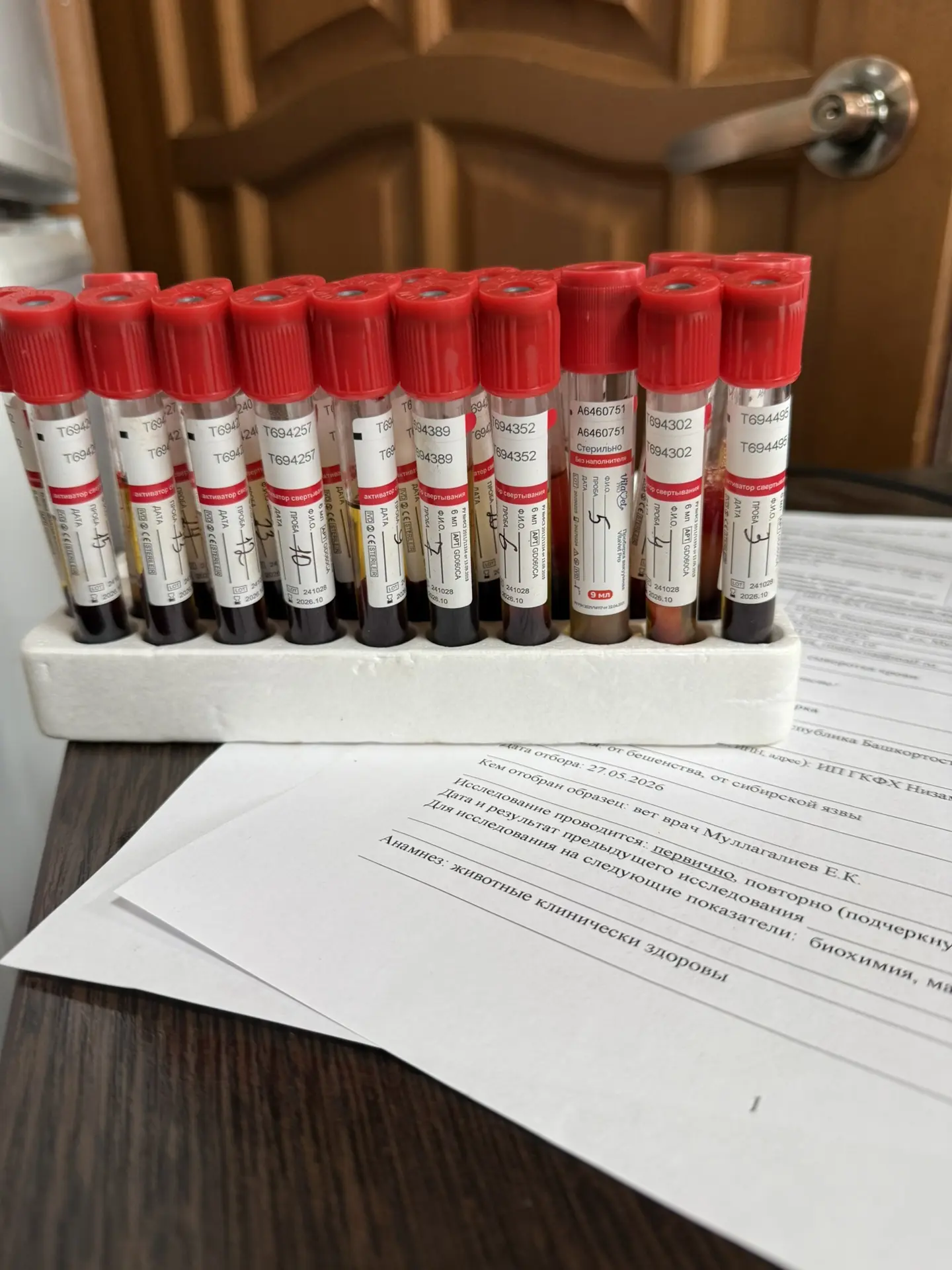 Отправили на исследование 🔬 сыворотку крови лошадей на биохимический анализ и на макро...
