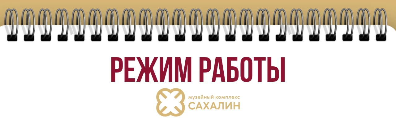 Дорогие друзья!
