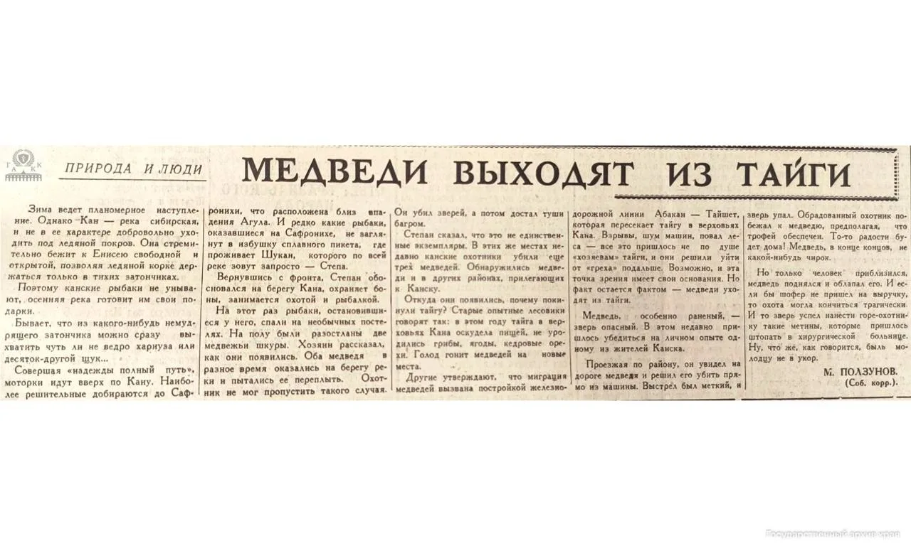 🐻Медведи выходили к жителям края и 60 лет назад: рассказываем, что писала газета о Канске