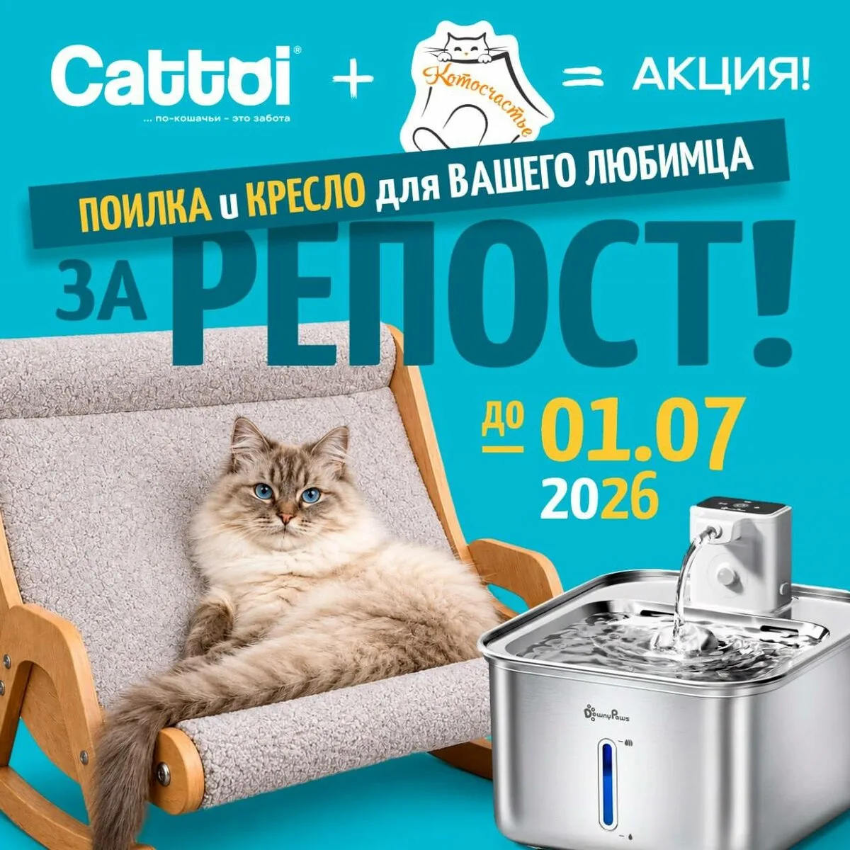 Различают ли коты голос хозяина?