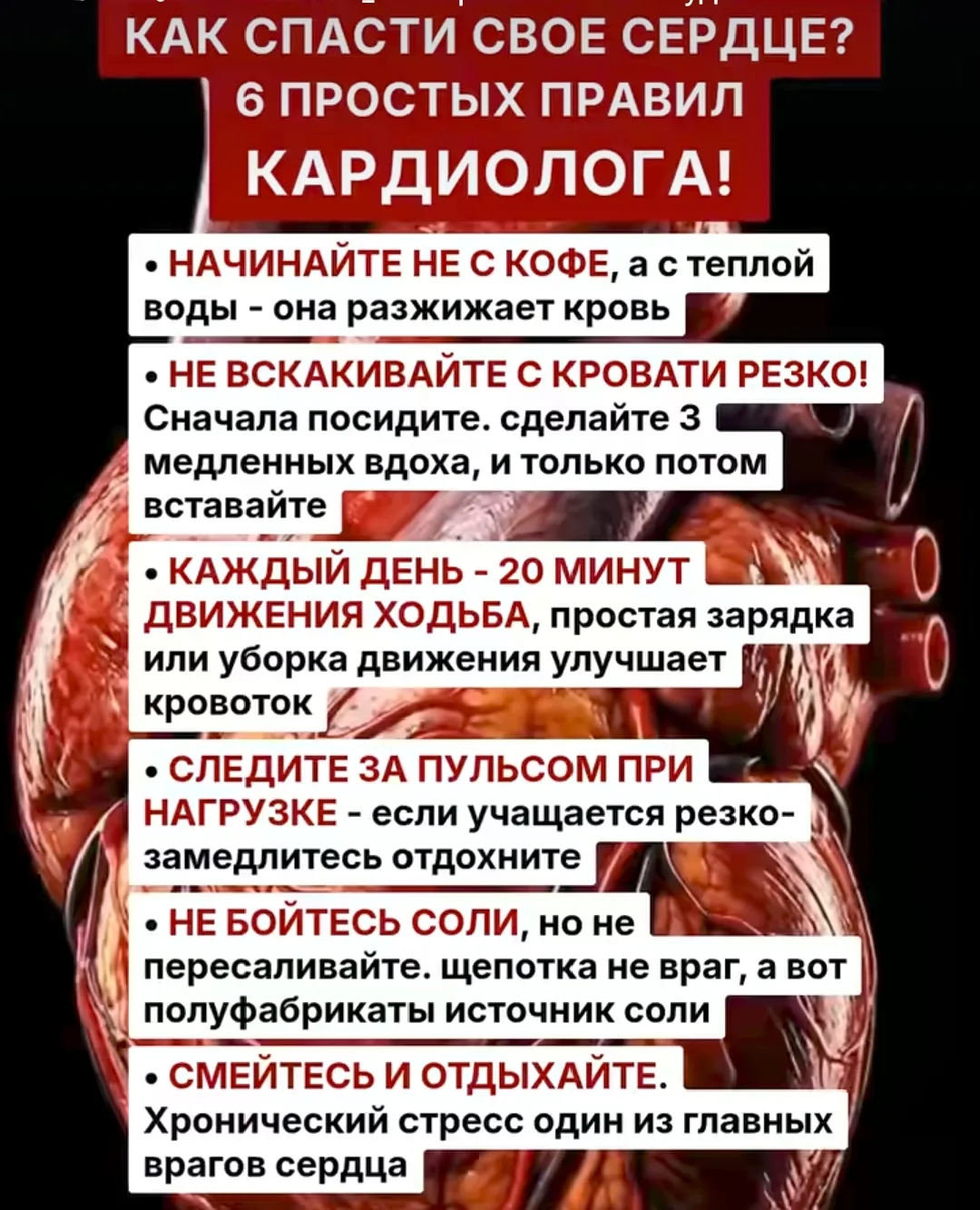 Как спасти свое сердце