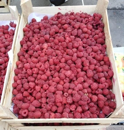 КАРТОФЕЛЬ