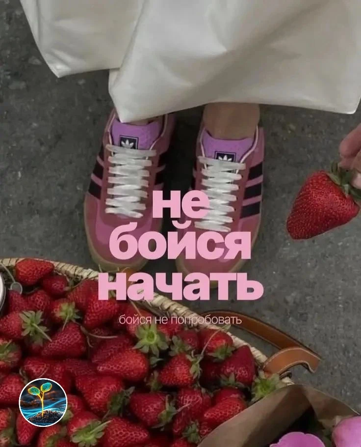 Важное напоминание❗