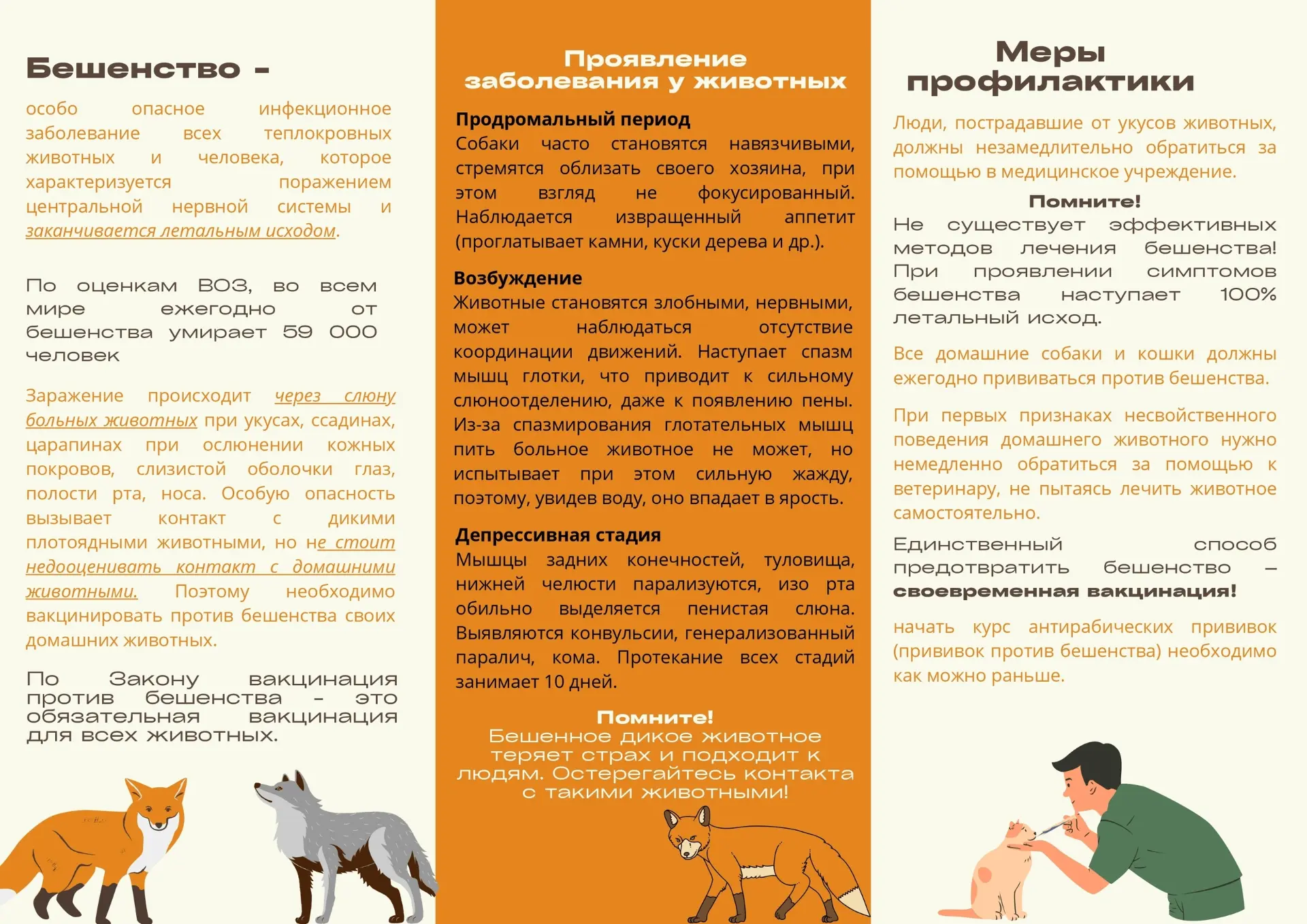 Бешенство — смертельная угроза и для животных, и для человека.