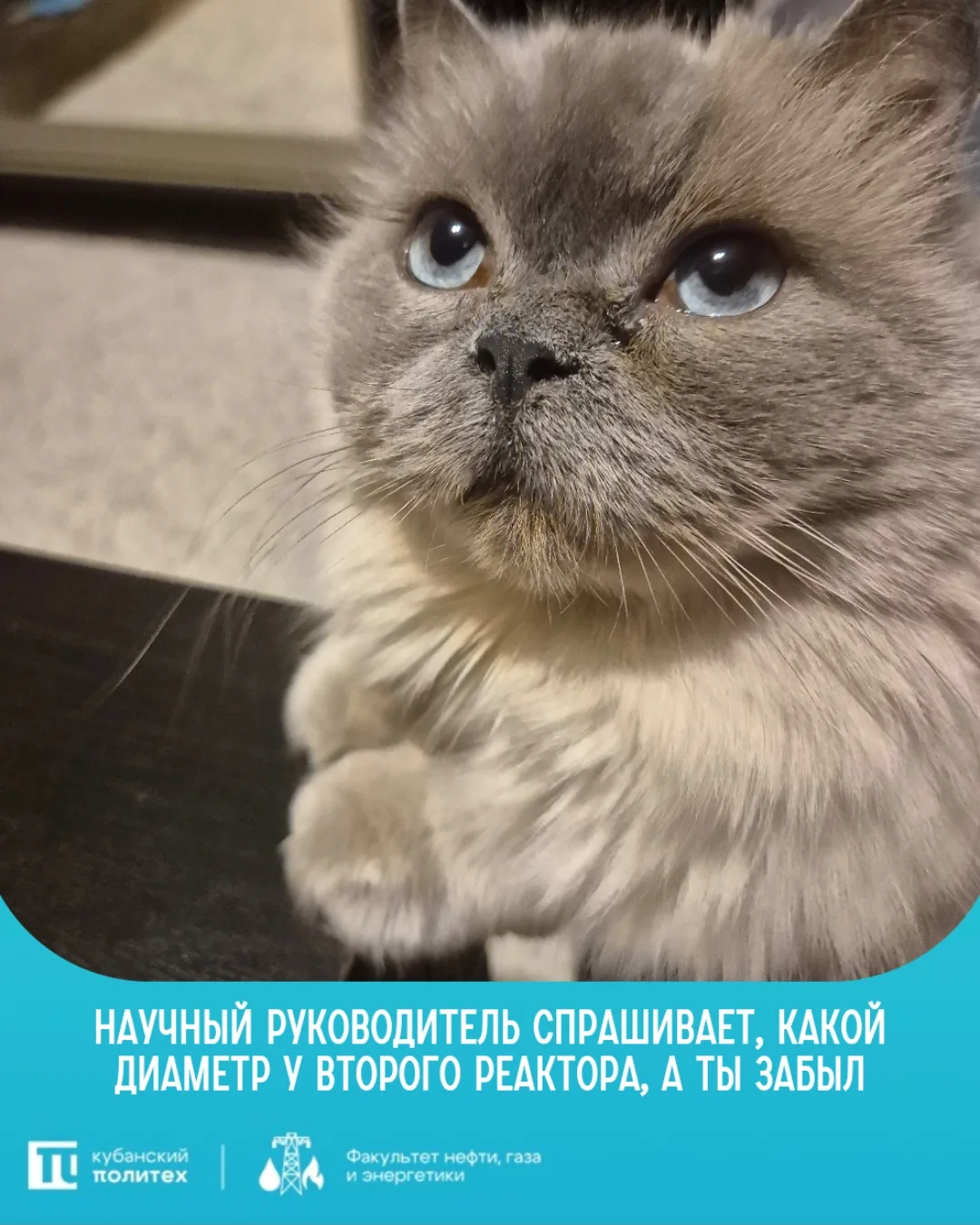 🤝🏻 +/- 30 метров

#шутки_из_газопровода

@kubstu_official 
#КубГТУ #ФНГЭ