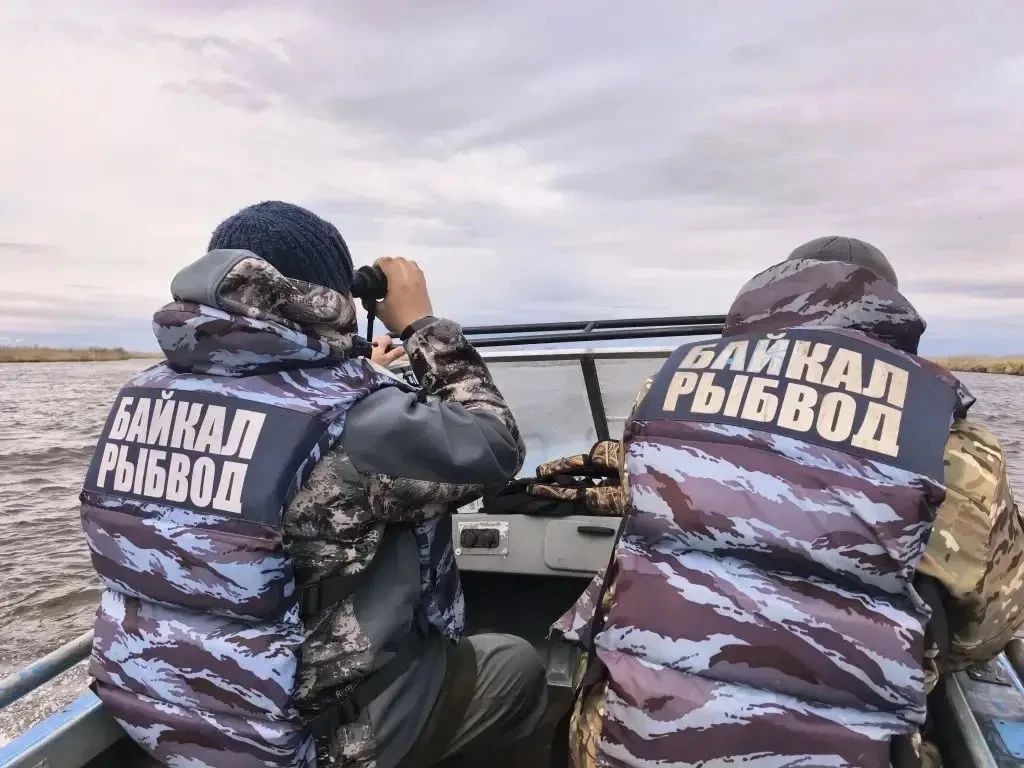 Главрыбвод бьёт тревогу: крылатая угроза на нерестовых путях омуля