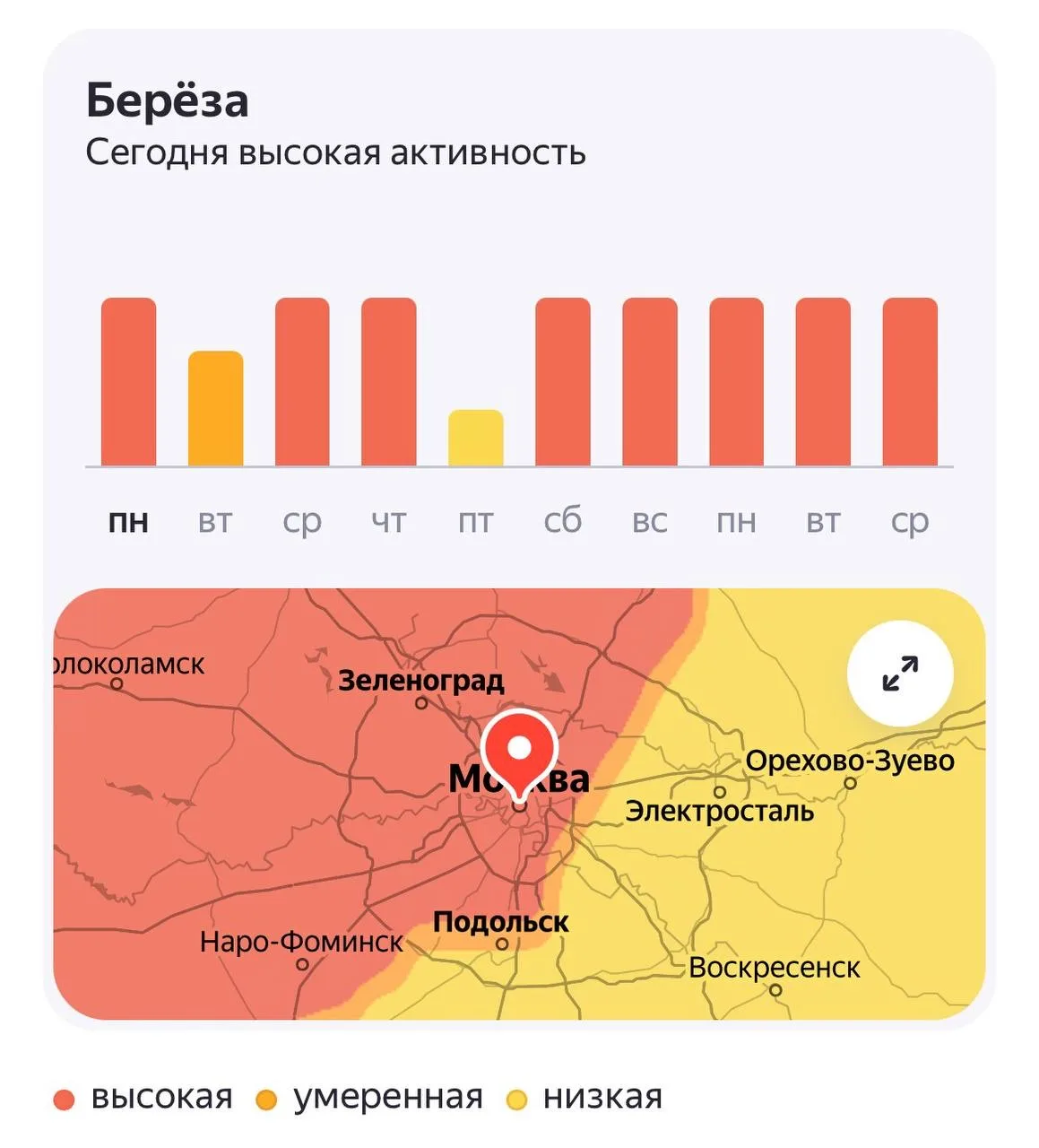 🤧 О цветении берёзы в столичном регионе предупредили врачи.  Подписаться на @krasnogorsk_oblast