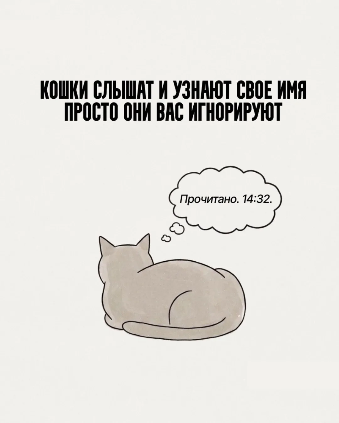 Интересные факты из жизни животных. У эволюции тоже есть чувство юмора, как ни крути 🤣