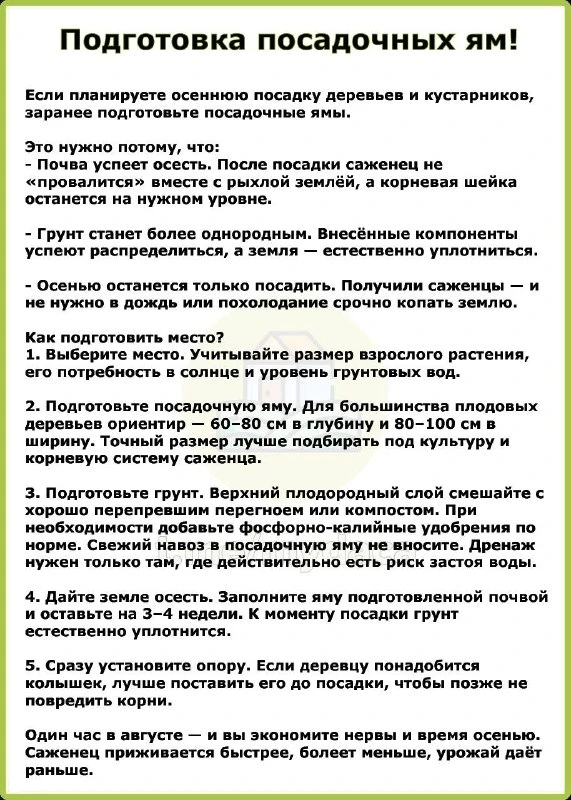 Изображение 2 к публикации «Дачники»