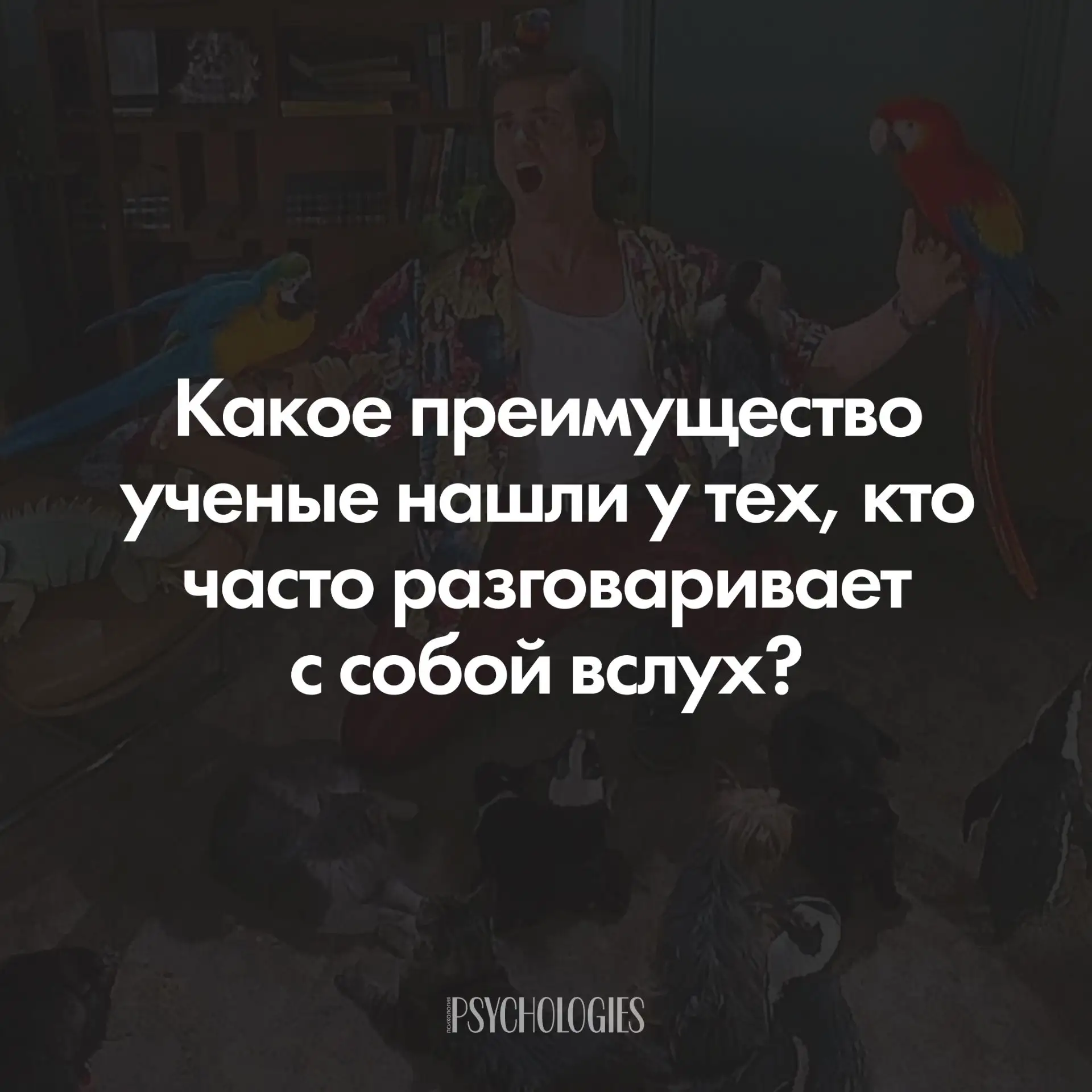 «Так-так, и почему же ты у нас не заводишься?», «Сок взяла. Надо еще сыр и хлеб», «Сейч...