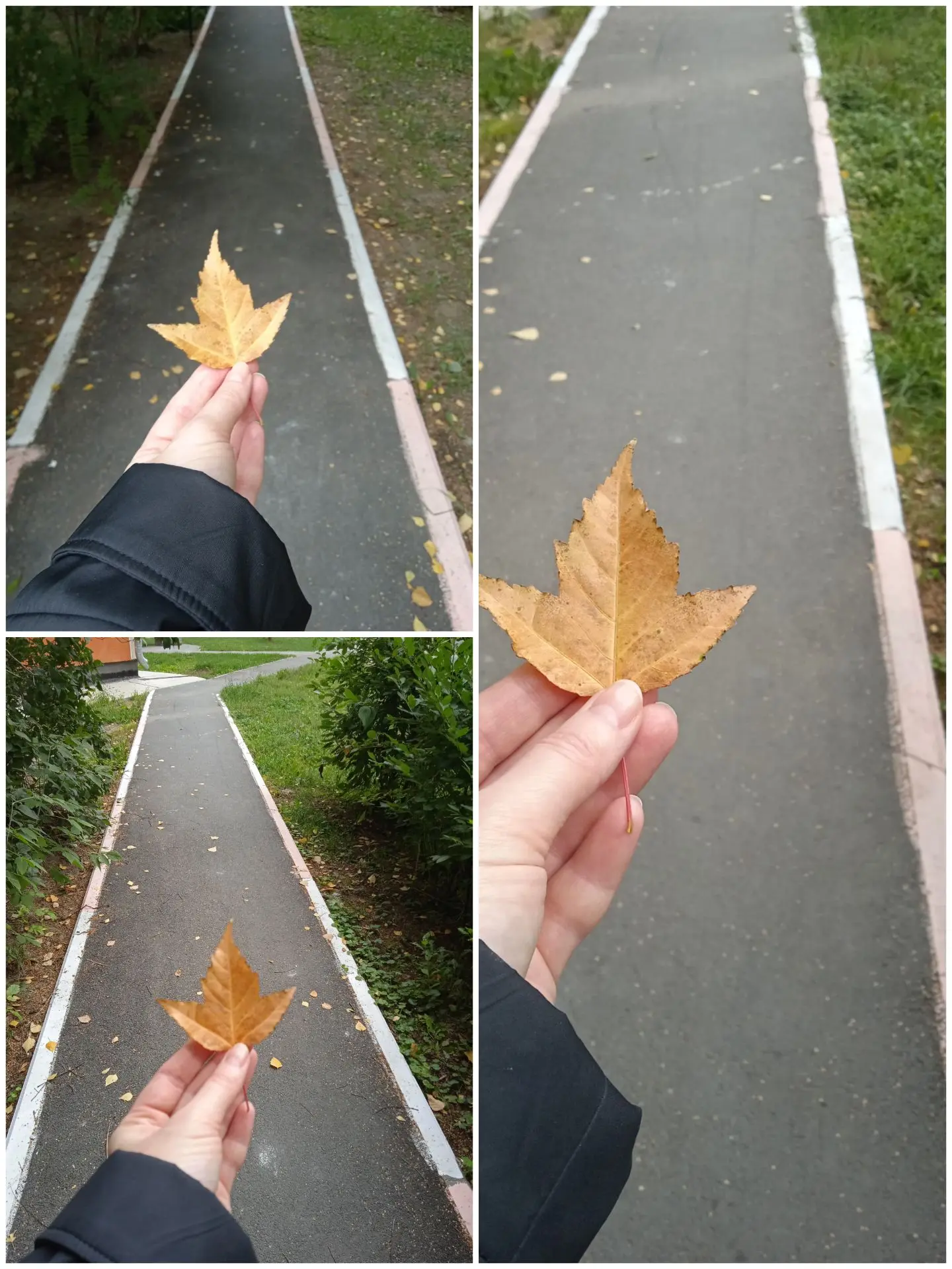🍂 Осенний листочек уже отправился в школу! А вы готовы к новому учебному году? 🍁
