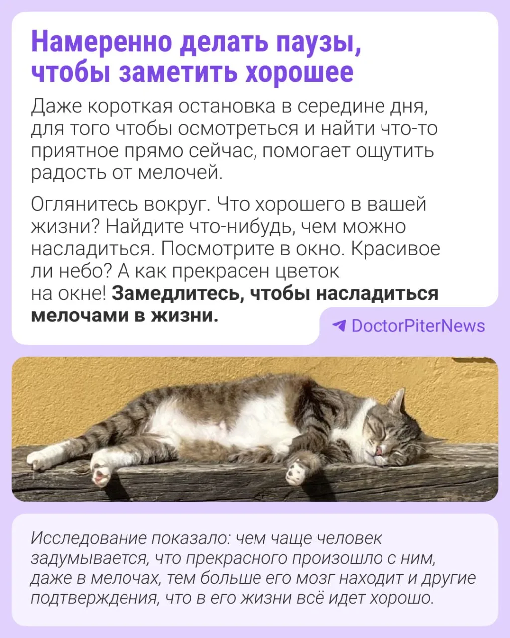 🧐 Всего 5 действий в день помогут стать счастливее?  По крайней мере, так считает психолог Сьюзи Пет