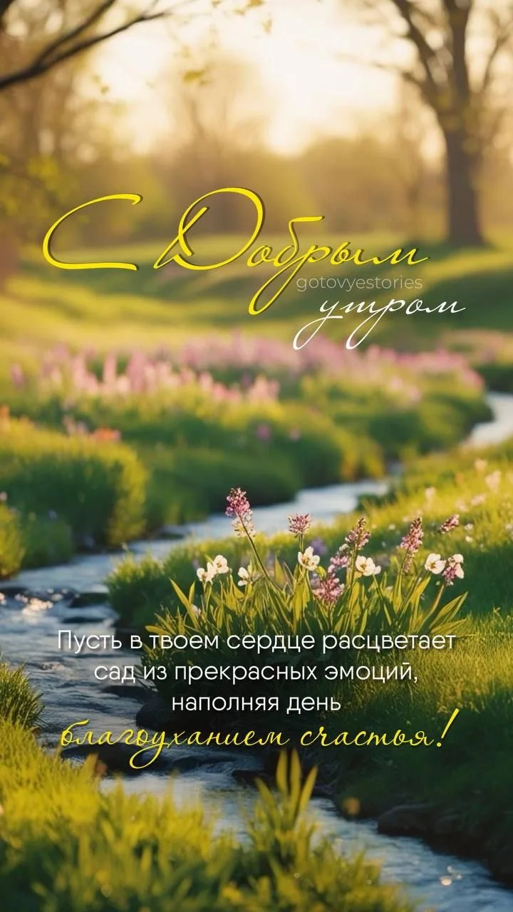 #доброеутро