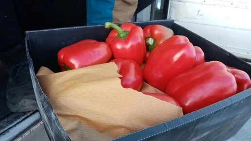 750 тонн заграничных фруктов и овощей продуктов ввезли в Челябинскую область за неделю