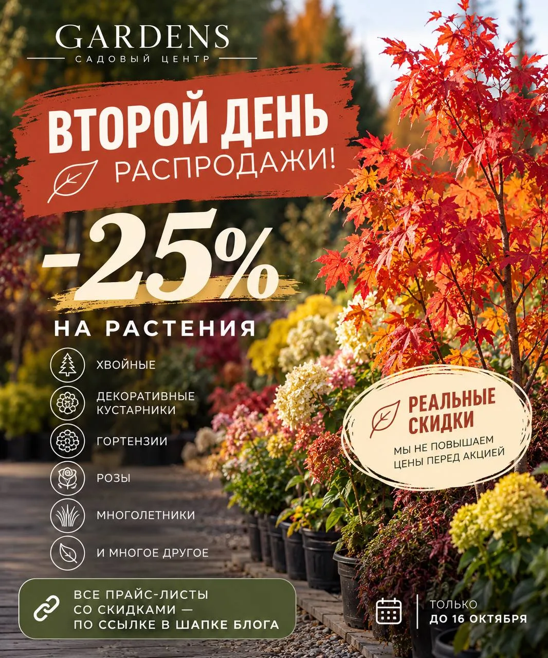 🍂 ВТОРОЙ ДЕНЬ БОЛЬШОЙ РАСПРОДАЖИ GARDENS!