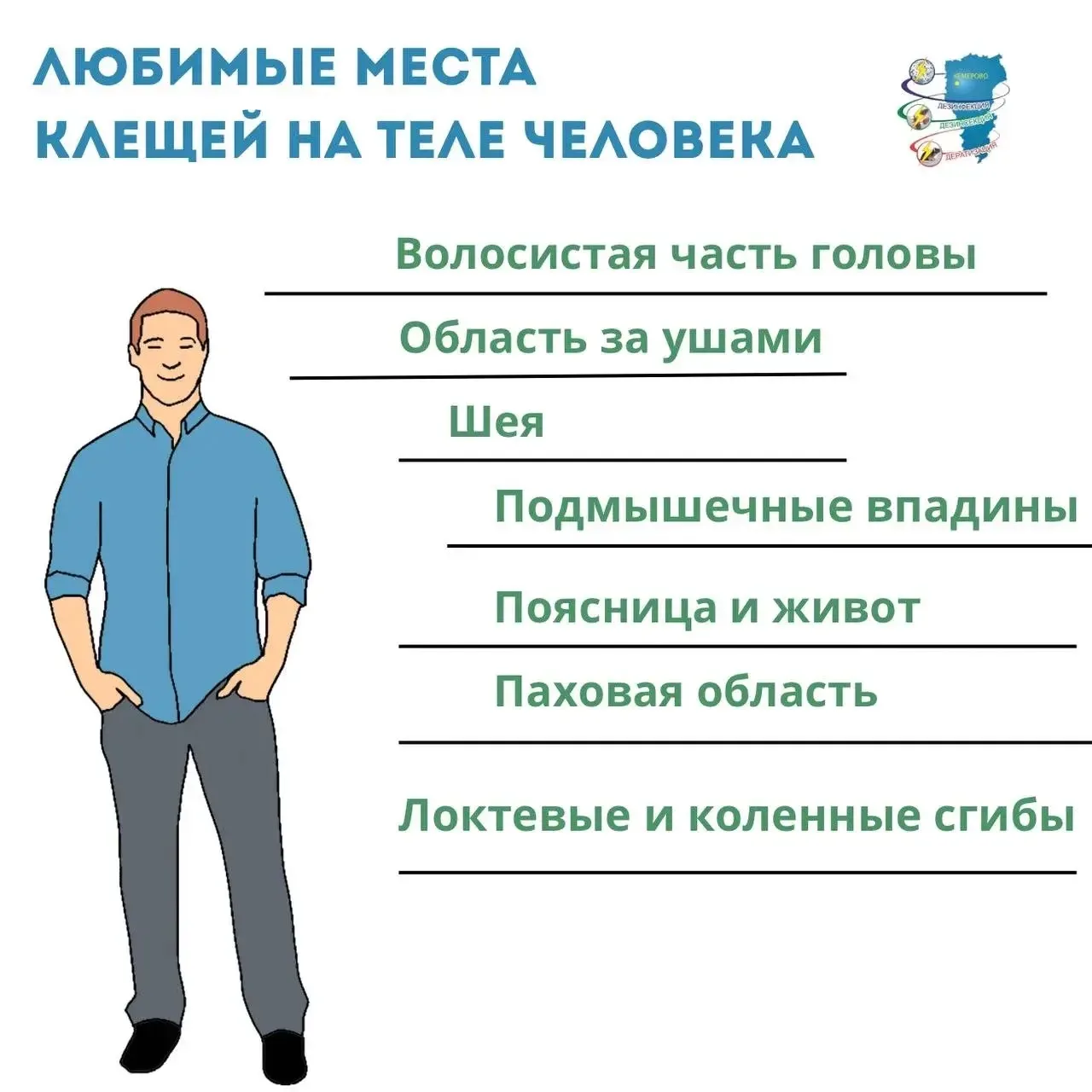 Осторожно, клещи: они всё ещё активны 🕷️