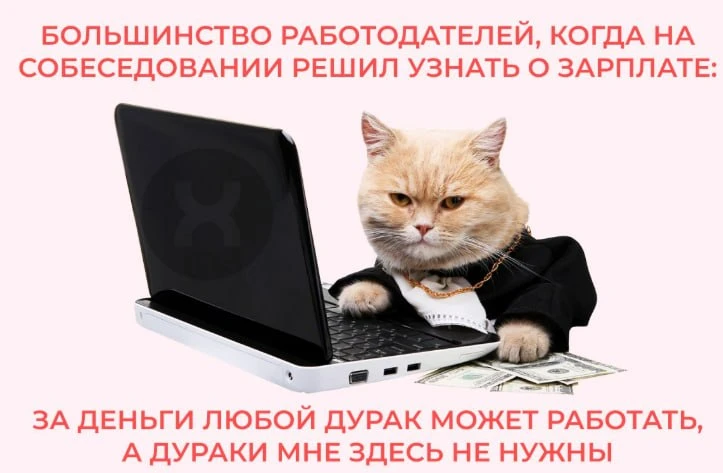 Ох уж эти собеседования😁