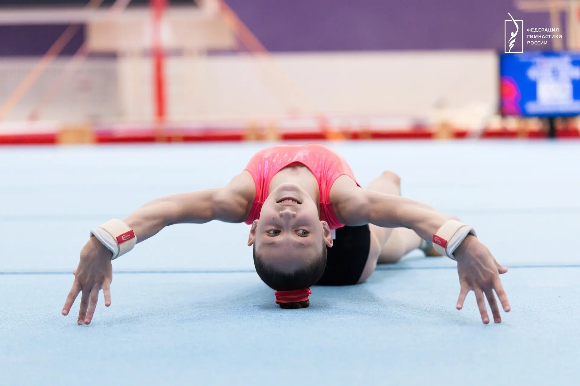 Ловим ракурсы спортивной гимнастики 📸

Фото с финалов в отдельных видах финала XIII летней Спартаки
