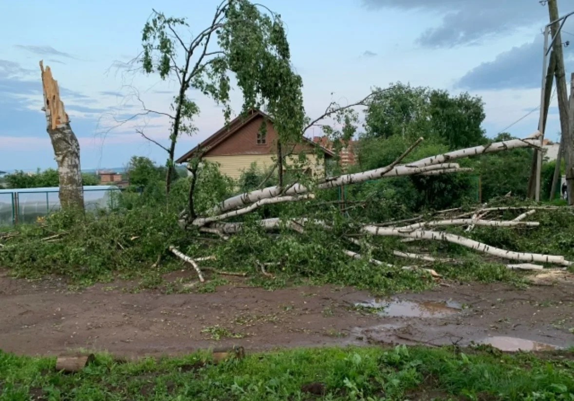 Анонимно пожалуйста!

 Администрация, просим принять меры по ликвидации последствия природных явлени
