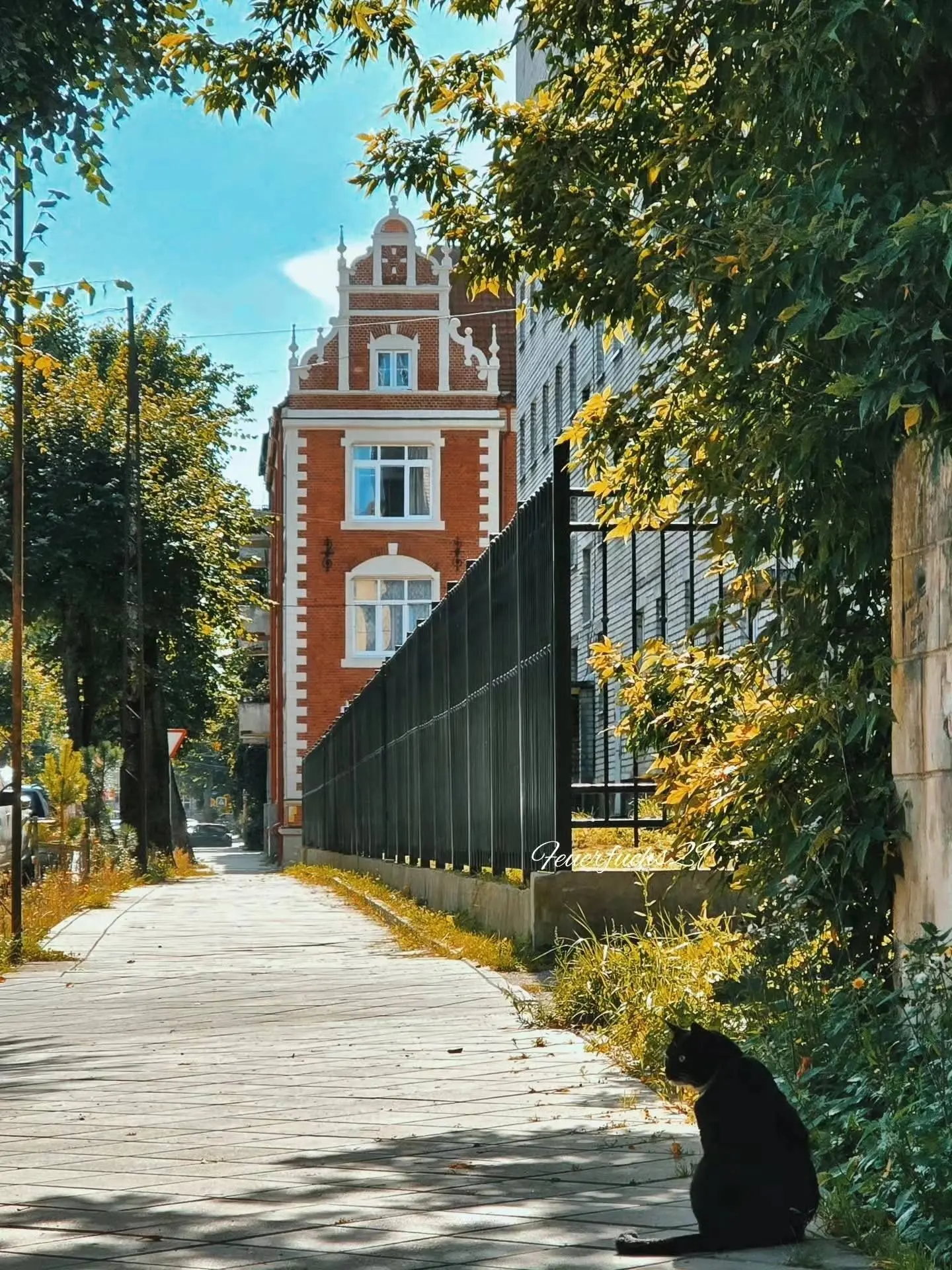 Осенний Черняховск🍂