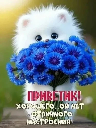 ЖИВАЯ СКАЗКА