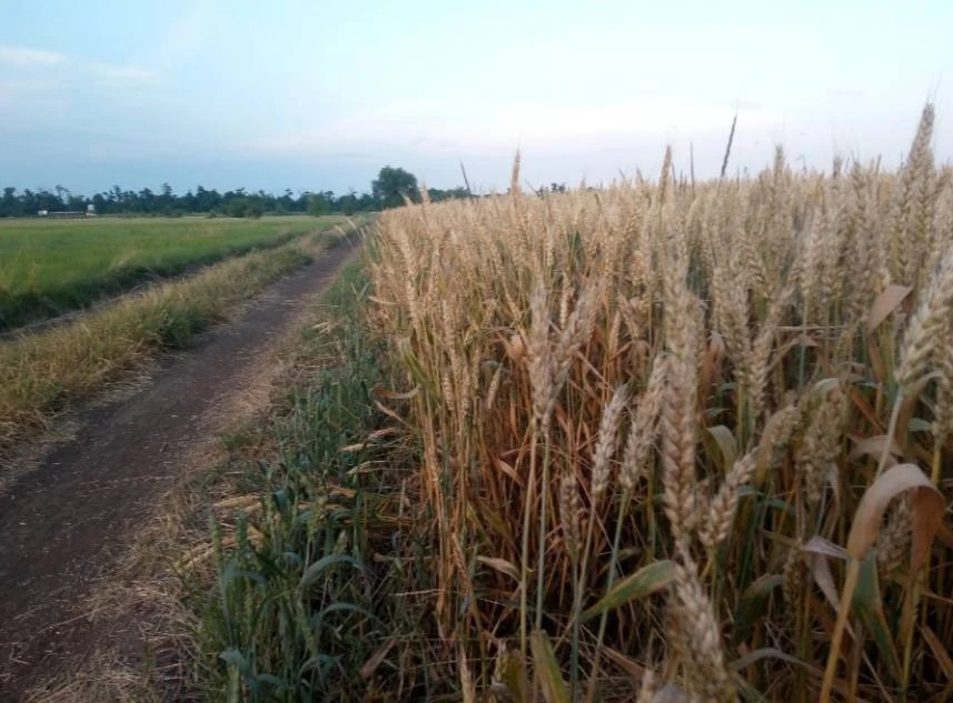 🌾Для аграриев Ростовской области просят облегчить кредитную нагрузку