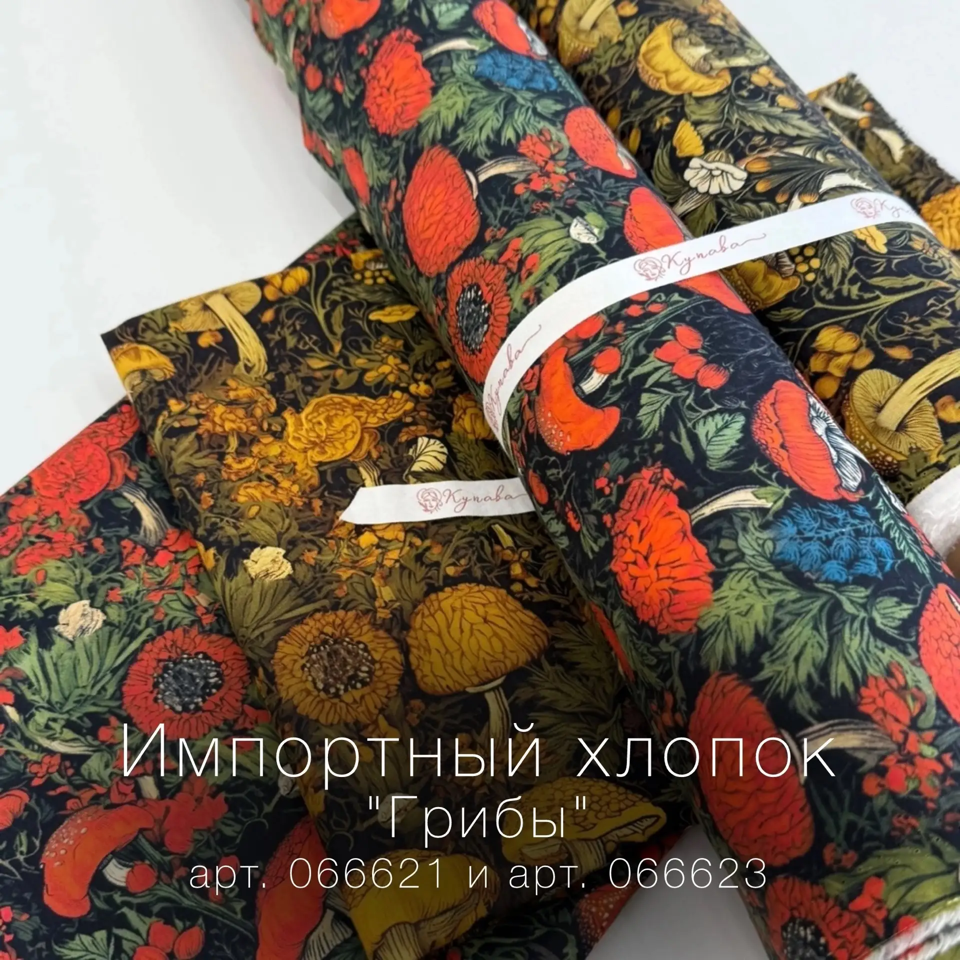 Какая расцветка нравится больше? 

Ставьте реакции:
❤️ - если нравятся грибы на красном;
🔥- на горч