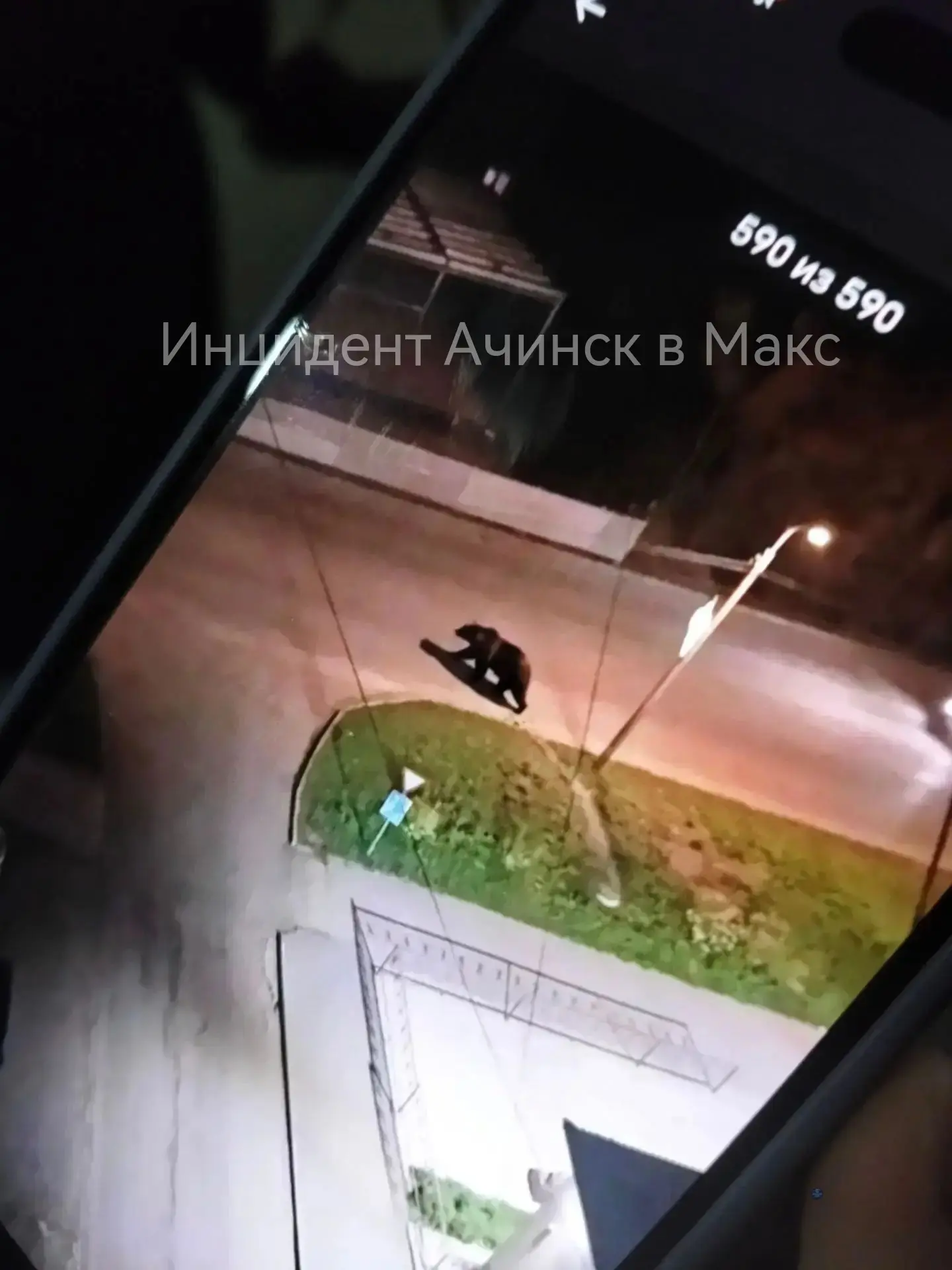 ❗Подпишитесь на наш чат в Максе, по медвежьей обстановке в Ачинске: https://max.ru/join...