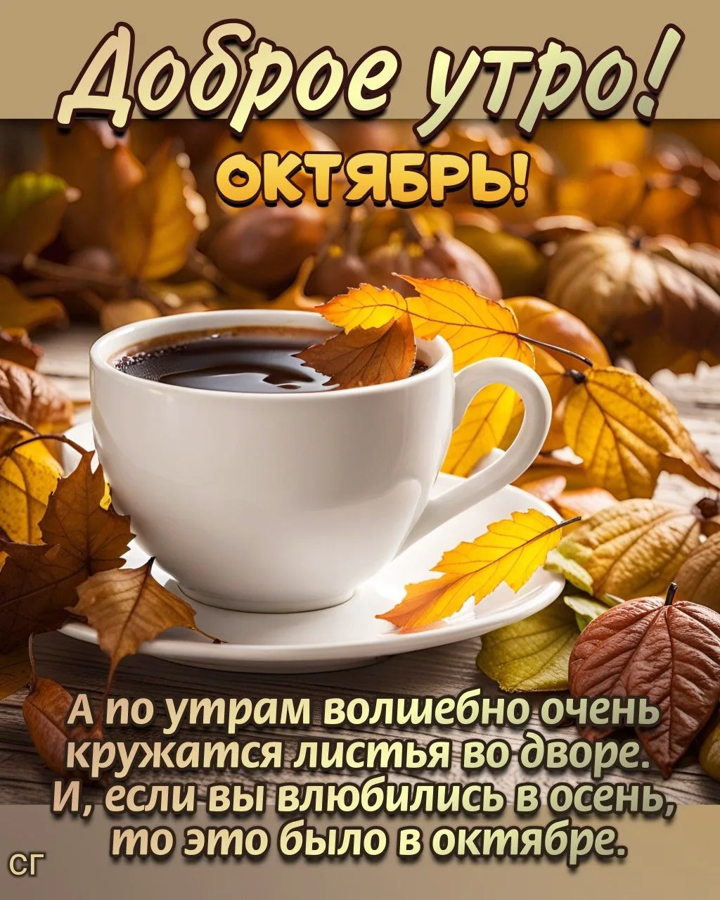 Доброе утро!🍁
