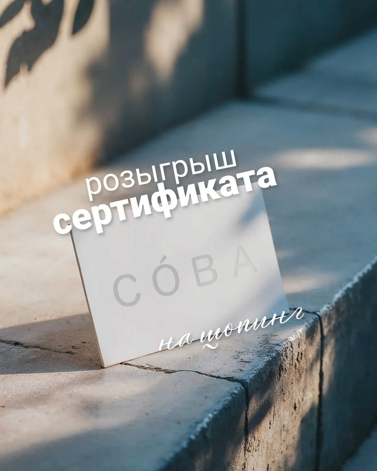 🎉 Результаты розыгрыша: