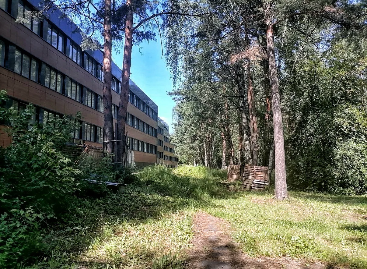 Девонское море в Москве или элитная советская здравница «Светлана».
