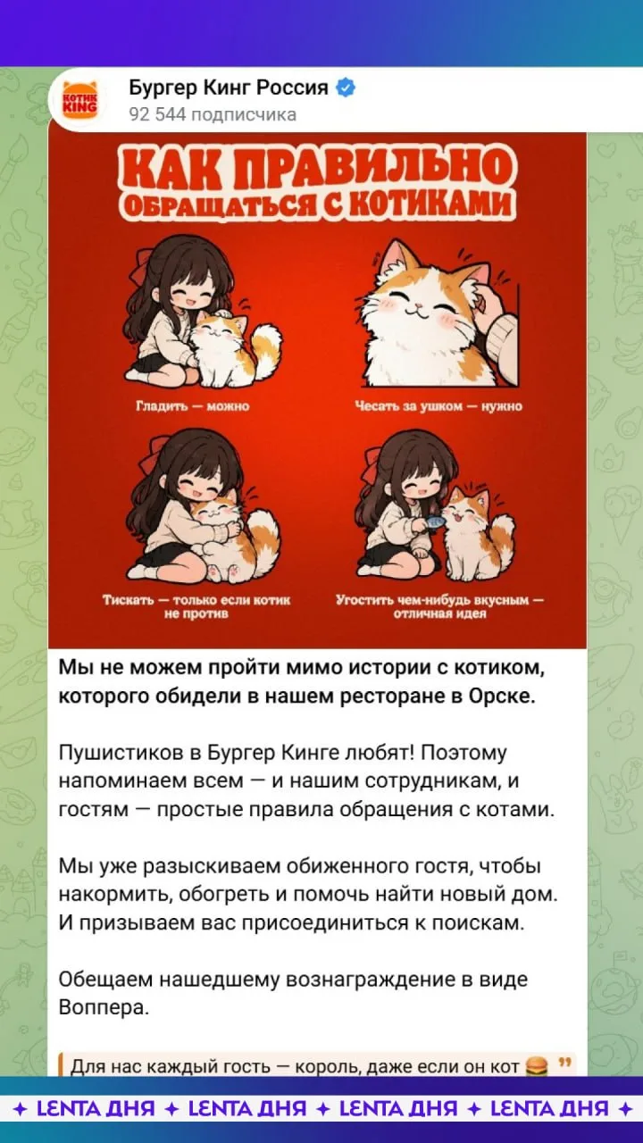 😿 Сотрудница «Бургер Кинга» схватила уличного кота за шкирку и выгнала из кафе в Орске