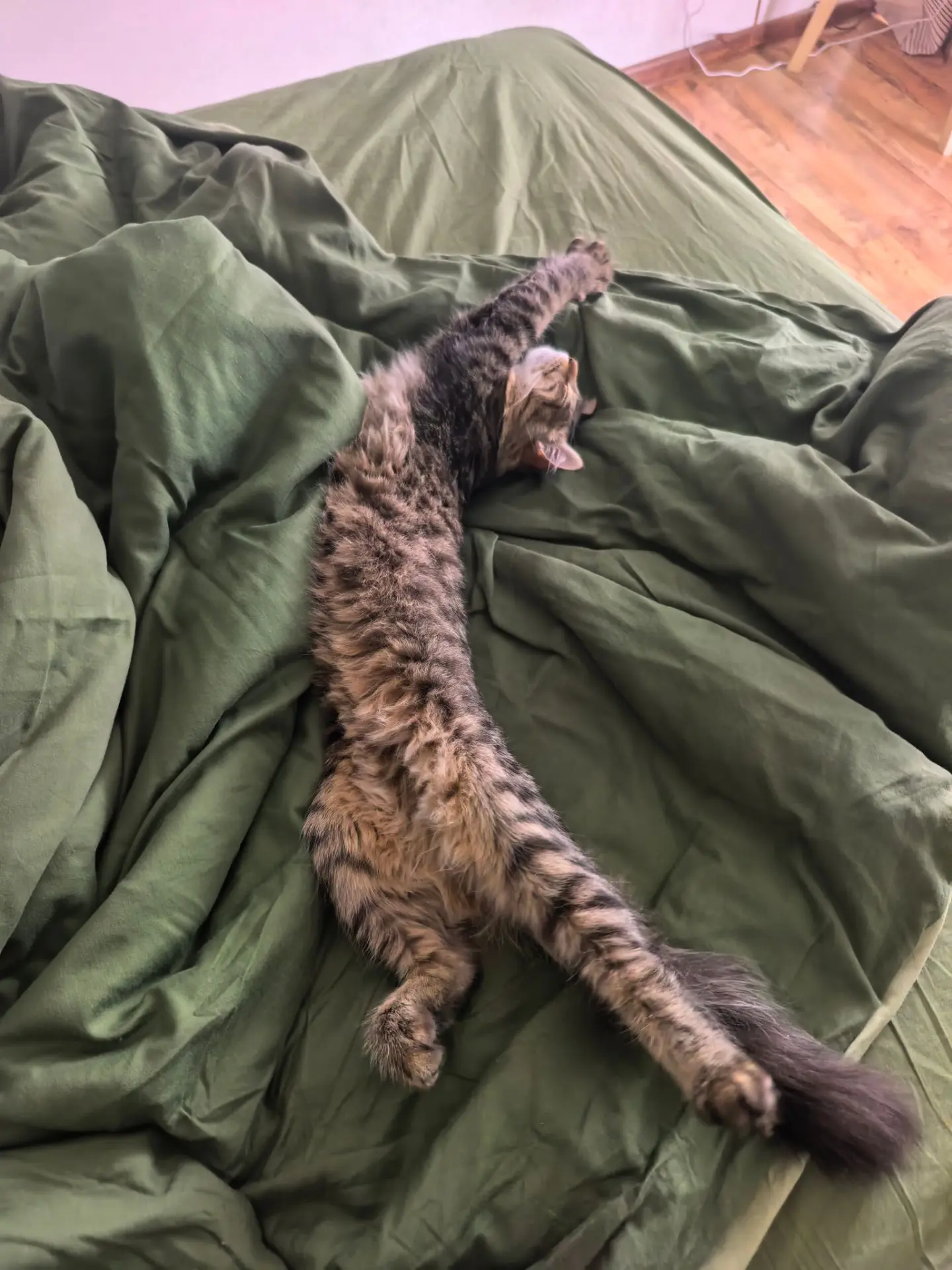 Подборка фоток Сени, я знаю вы скучали 😽