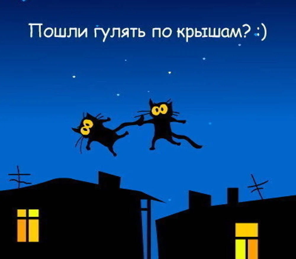 🏠 Кровля многоквартирного дома - не место для романтических свиданий!