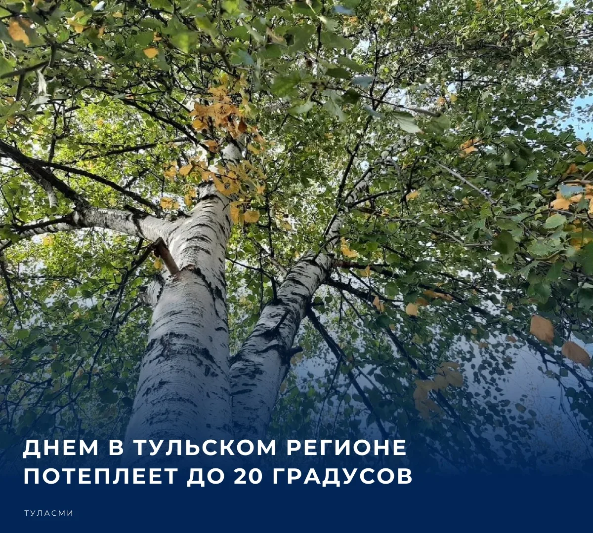 По прогнозу синоптиков, сегодня, 14 сентября, в Туле и области сохранится переменная об...