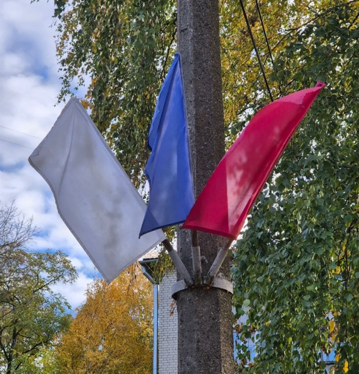 На Полугоре в центре Курска отмечают День ДОСААФ