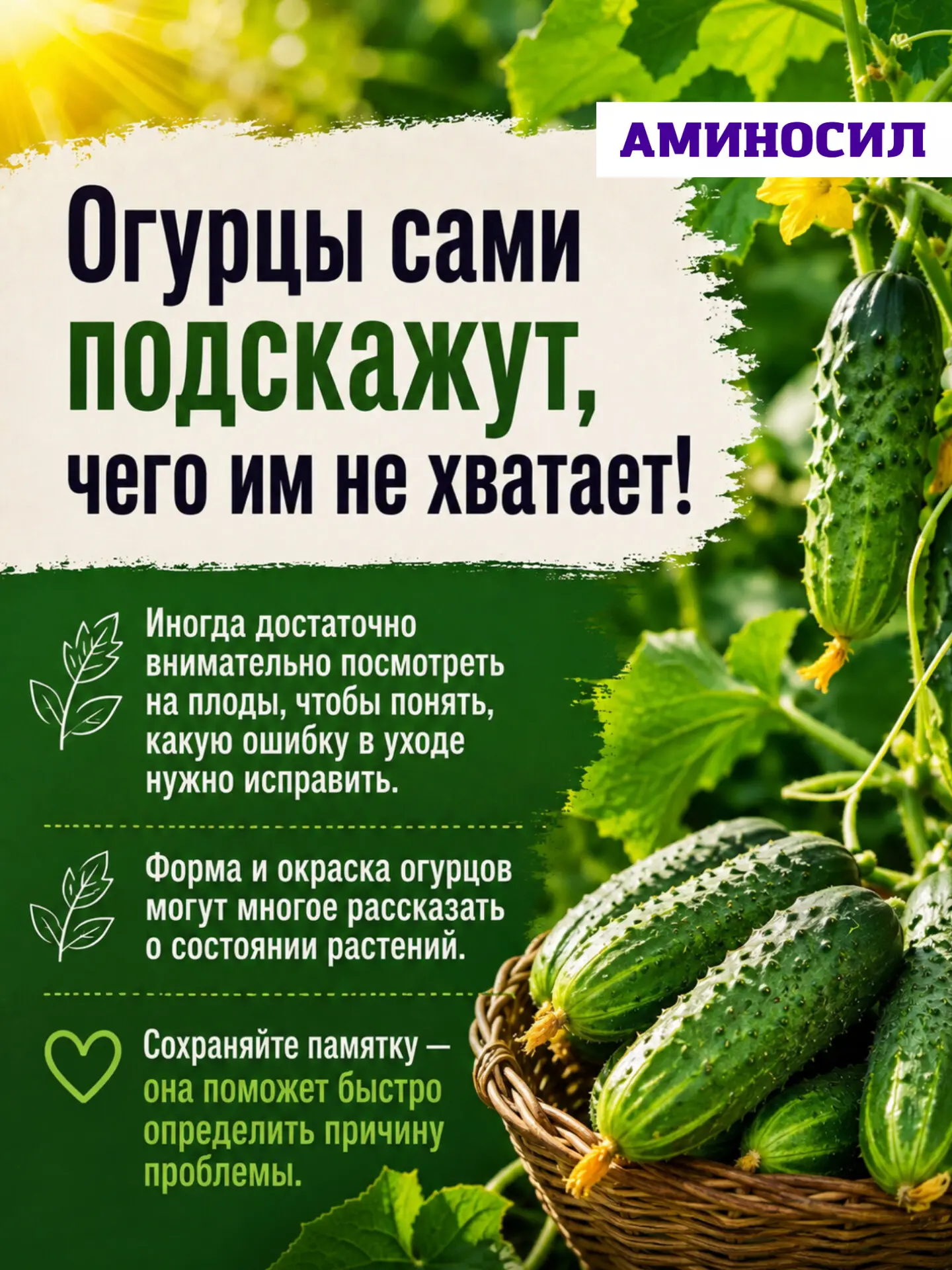 🥒 Огурцы сами подскажут, чего им не хватает!

Читайте в карусели 👆

💚 Сохраняйте памятку — она по
