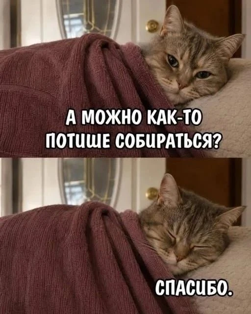 А тем временем