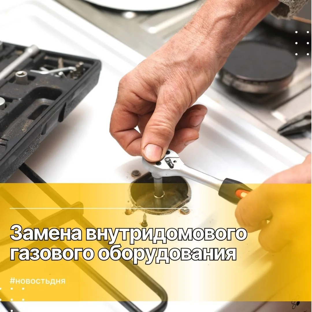 Инвалиды I группы, а также граждане, достигшие возраста 80 лет, являющиеся собственника...