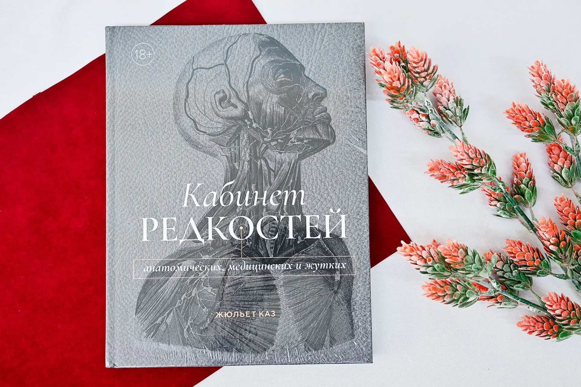 Розыгрыш книг о кунсткамерах!