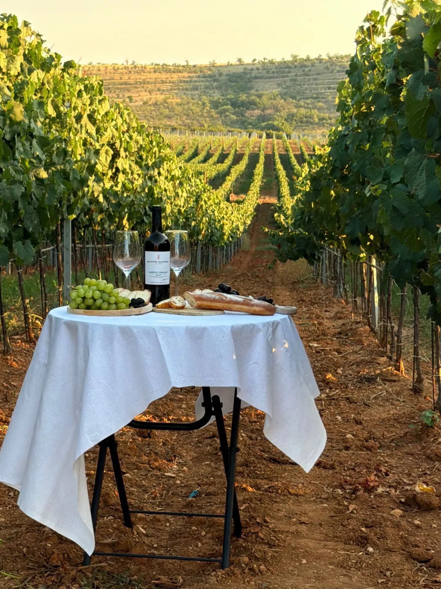 🍇 С Днём виноградарства и виноделия, Крым!