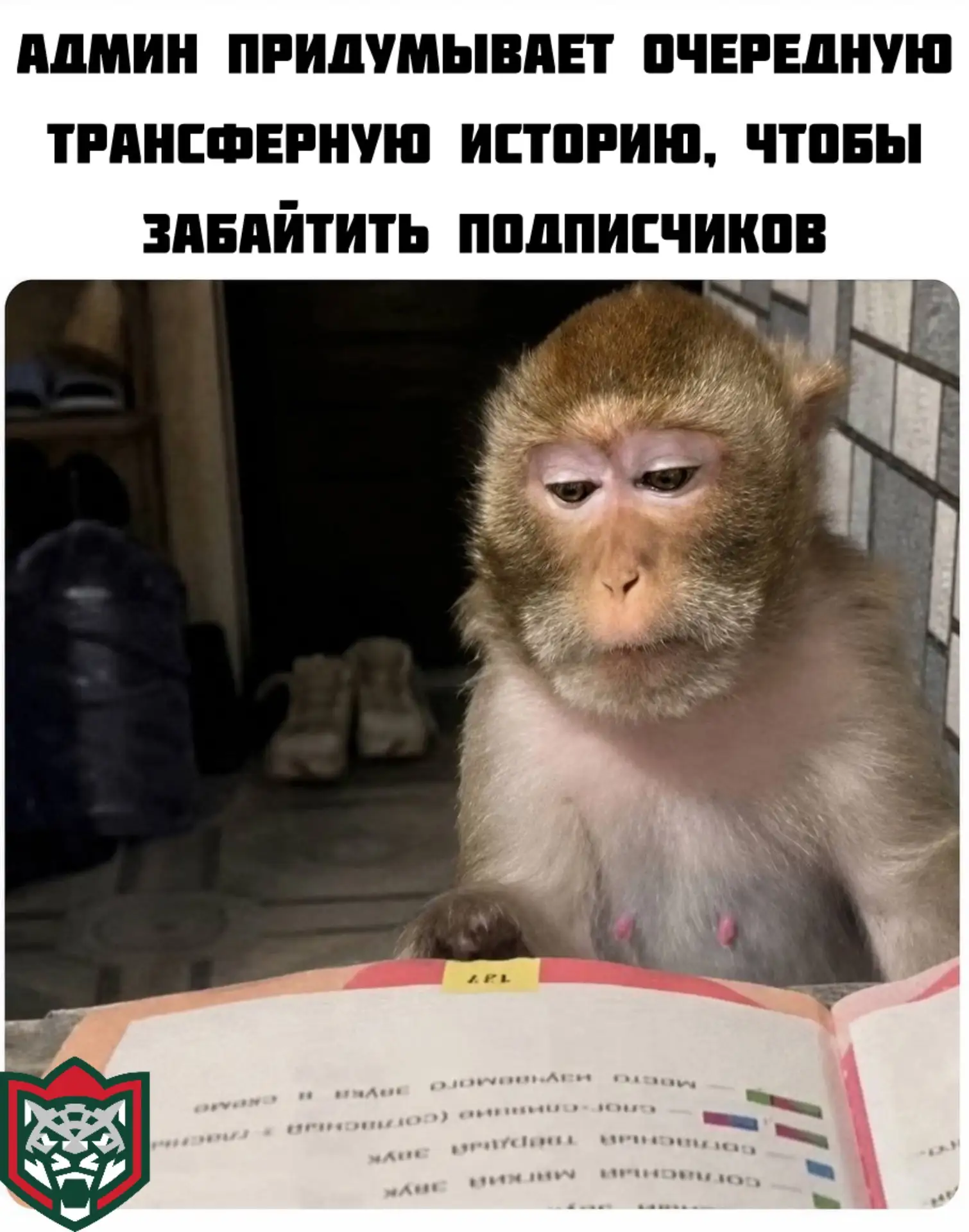 Такс, про кого бы вкинуть?