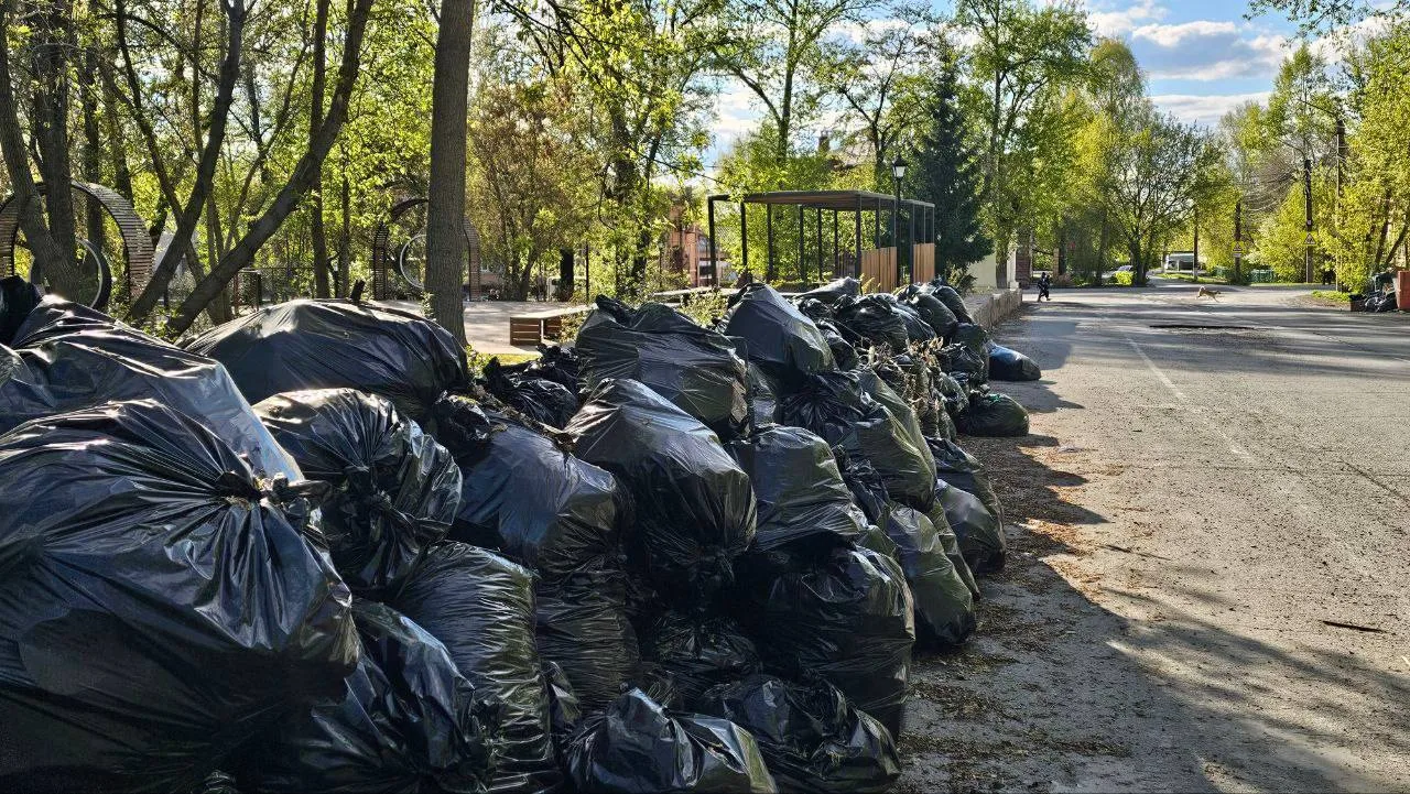 Повысить плату за вывоз мусора после выборов могут в Красноярском крае.