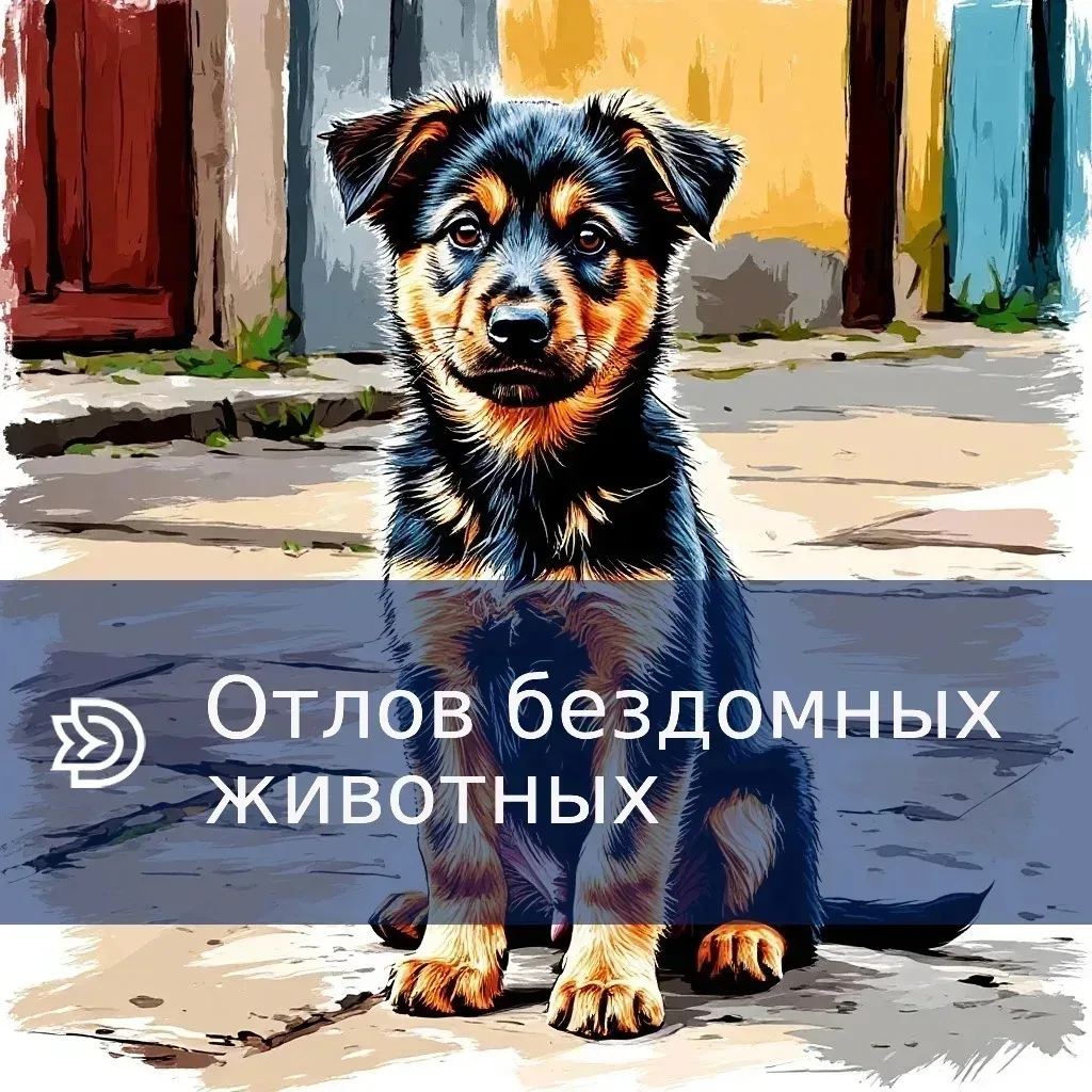 🐾 Отлов бездомных животных