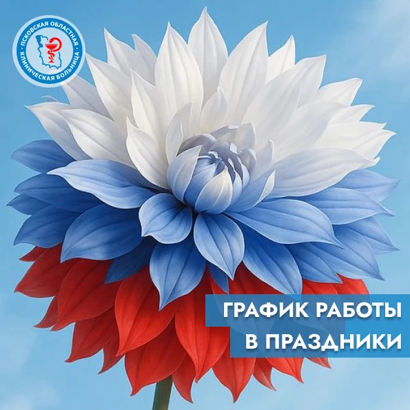 График работы больницы 12-14 июня

📌 Псковская областная больница (г. Псков, ул. Малясова, 2)
Стаци