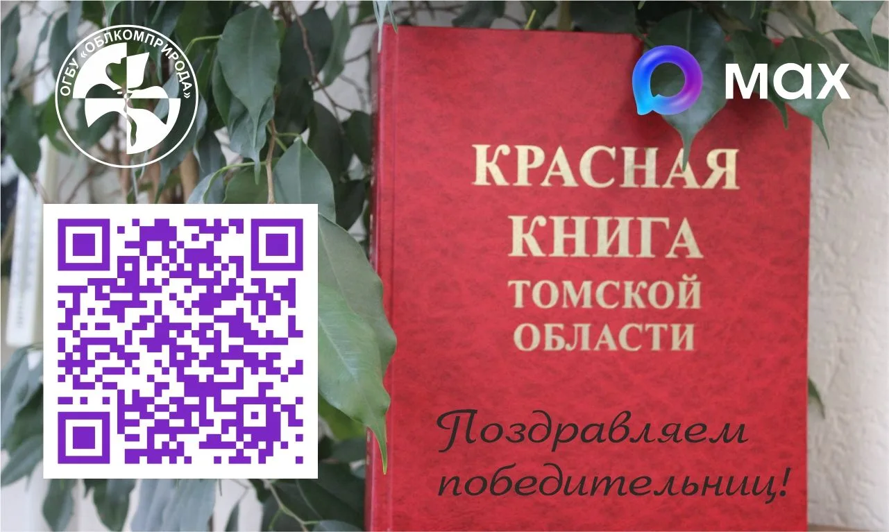 🍀Мы провели третий розыгрыш и объявляем победительниц!