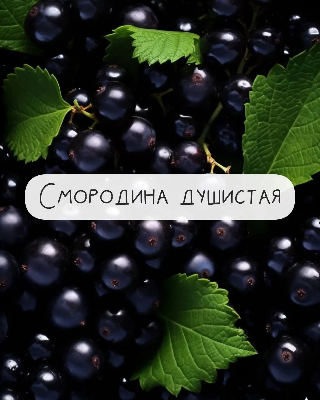 Нет, мы с вами не будем говорить о ягодном смузи для лица. Идея конечно ароматная, но мало пользы пр